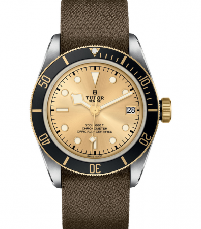 AAA Repliche Tudor Black Bay S&G 41mm Orologio Uomo M79733N-0006