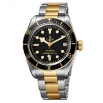 AAA Repliche Tudor Heritage Black Bay in acciaio e oro giallo 79733N