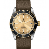 AAA Repliche Tudor Black Bay S&G 41mm Orologio Uomo M79733N-0006