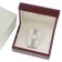 Longines Master Collection 25.5mm Ladies Watch L21284786