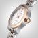 Longines Record 26mm Ladies Watch L23205727