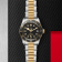 Swiss Tudor Black Bay S&G