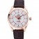 Omega Seamaster Planet Ocean GMT quadrante bianco cassa in oro rosa cinturino in pelle marrone 622400